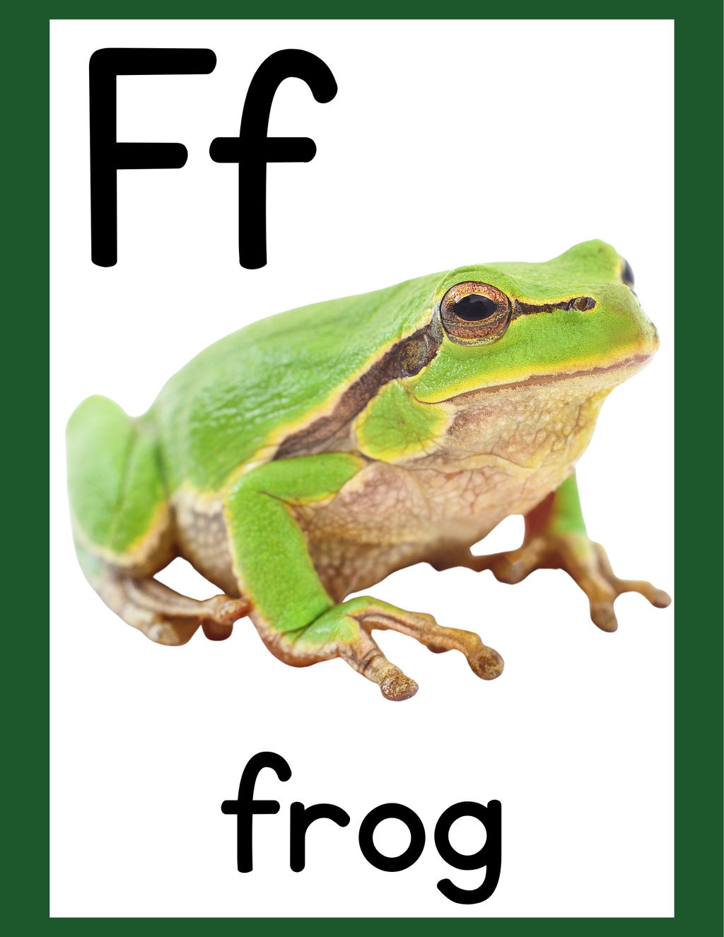 Alphabet Posters A–Z | Digital or Laminated Set
