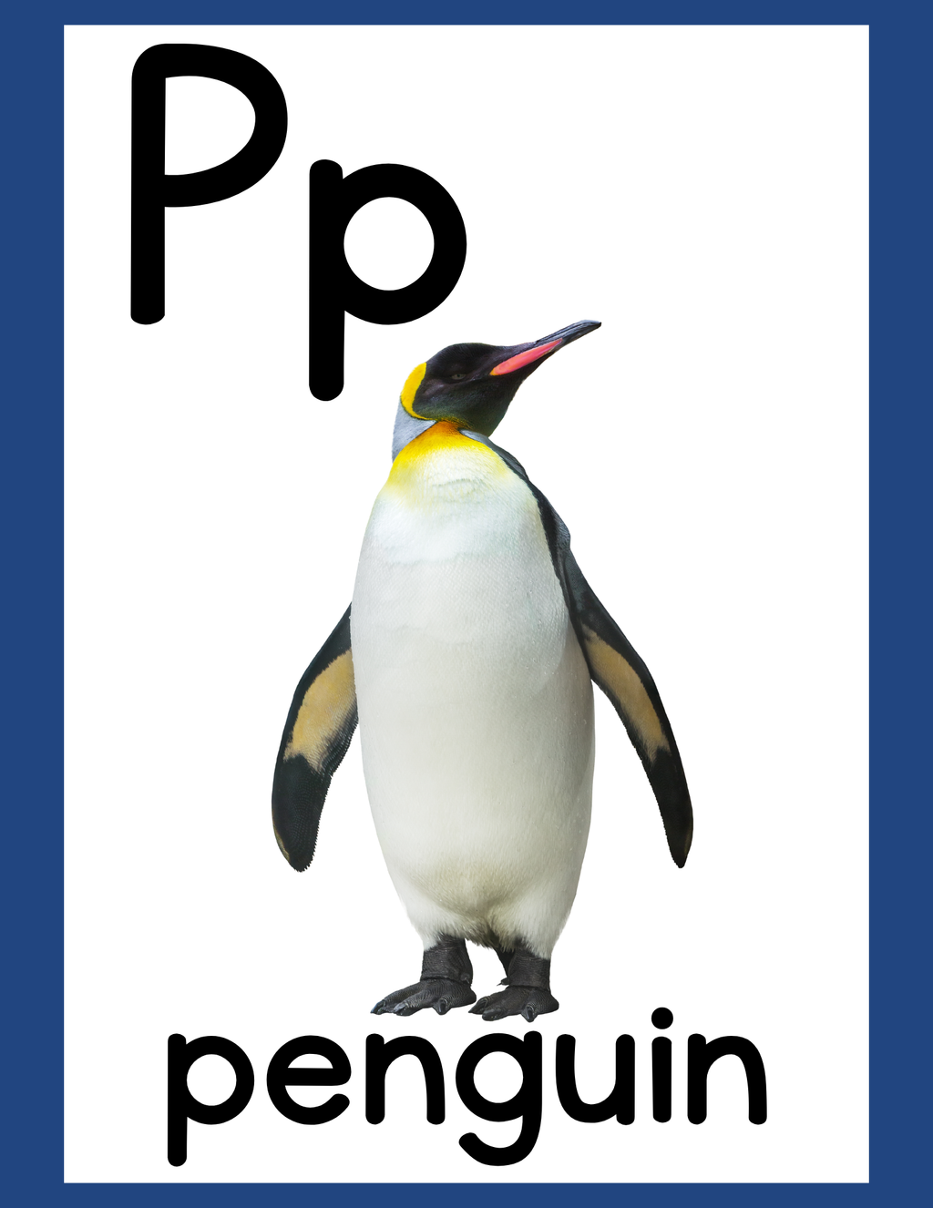 Alphabet Posters A–Z | Digital or Laminated Set