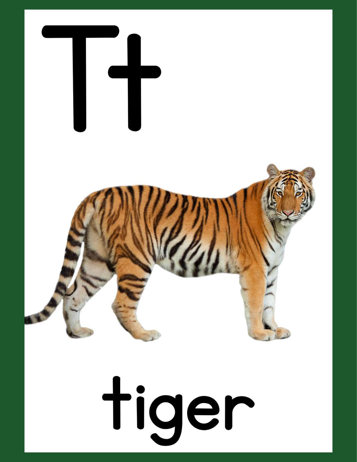 Alphabet Posters A–Z | Digital or Laminated Set