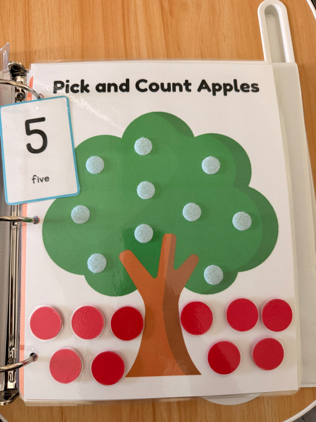 Preschool Readiness Binder